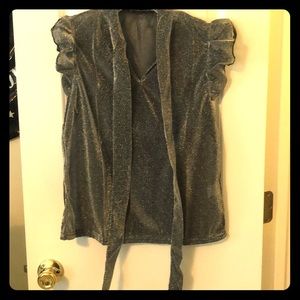Shimmery Blouse